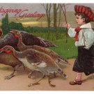 Girl Feeding Turkey Corn Artist Signed Clapsaddle Vintage Embossed Thanksgiving Postcard 1909