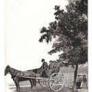 Quebec Canada Caleche Horse Carriage Vtg Morissette Postcard