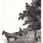 Quebec Canada Caleche Horse Carriage Vtg Morissette Postcard