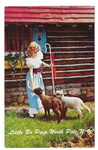 Santa North Pole Little Bo Peep Adirondacks NY Mike Roberts Vtg Postcard