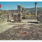 Morocco Maroc Volubilis Roman Mosaics Ruins Vtg 4X6 Postcard