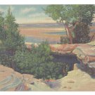 AZ Petrified Forest Natural Bridge 1939 Curteich National Park Linen Postcard