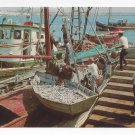 Portugal Algarve Sardine Fishing Boats Vila Real de Santo Antonio 4X6 Postcard Portugal Algarve Sardine Fishing Boats Vila Real de Santo Antonio 4X6 Postcard