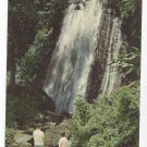 PR Puerto Rico El Yunque National Rain Forest Water Fall Vintage 1969 Postcard PR Puerto Rico El Yunque National Rain Forest Water Fall Vintage 1969 Postcard