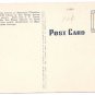 Largest Poinsettia Flower Field in the World San Diego CA Kropp Linen Postcard