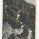 Mt Lowe CA Horse Shoe Curve Vintage Mount Lowe Postcard