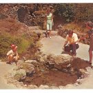 Hot Springs AR National Park Arkansas Thermal Water Display Family Vintage Postcard
