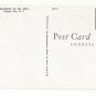 NY Niagara Falls Rainbow in the Mist Vintage New York Postcard