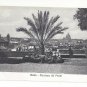 Roma Italy Rome Panorama dal Pincio Vintage Postcard