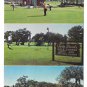 Twin Brooks Golf Club St Petersburg Florida Multiview Jim Helinger Vintage Postcard