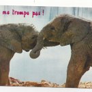 Elephants ne me trompe pas Vintage Animalas Postcard 4X6