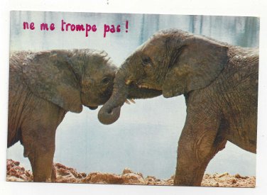 Elephants ne me trompe pas Vintage Animalas Postcard 4X6