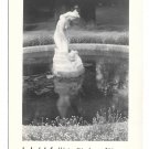 Austria Innsbruck Frog King Sculpture Hofgarten A Defner Real Photo Postcard Austria Innsbruck Frog King Sculpture Hofgarten A Defner Real Photo Postcard