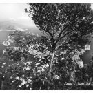 Italy Capri Vista Birdseye View Anacapri VERA Glossy Photo Postcard 4X6 Italy Capri Vista Birdseye View Anacapri VERA Glossy Photo Postcard 4X6