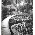 France Sevres Japanese Garden CiEP Language School Glossy 4X6 Photo Postcard France Sevres Japanese Garden CiEP Language School Glossy 4X6 Photo Postcard