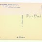 PA Kennett Square Longwood Gardens Ponds Water Lily Pools Vintage Postcard