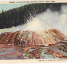 WY Yellowstone Park Sponge Geyser Wyoming Vintage Haynes Linen Postcard