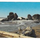 Oregon Coast Boardman State Park North of Brookings Vtg NPR Postcard