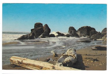 Oregon Coast Boardman State Park North of Brookings Vtg NPR Postcard