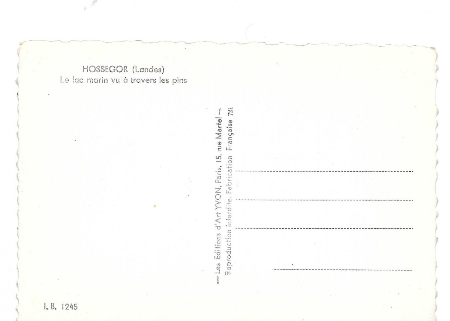 France Lac Marin Hossegor Landes View Thru Pines Real Photo YVON