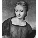Raphael Painting Detail Madonna del Cardellino Uffiz Galleryi Glossy Photo Postcard 4X6