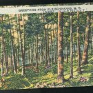 NY Greetings From Fleischmanns New York 1945 Linen Postcard NY Greetings From Fleischmanns New York 1945 Linen Postcard