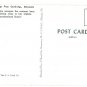 Greetings from Cambridge MN Deer Family Doe Fawns Stag Buck by Lake 2 Postcards