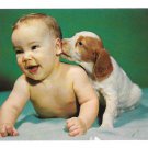 "That's a Good One" Puppy Nibbling Ear of Laughing Baby Vintage Tichnor Postcard