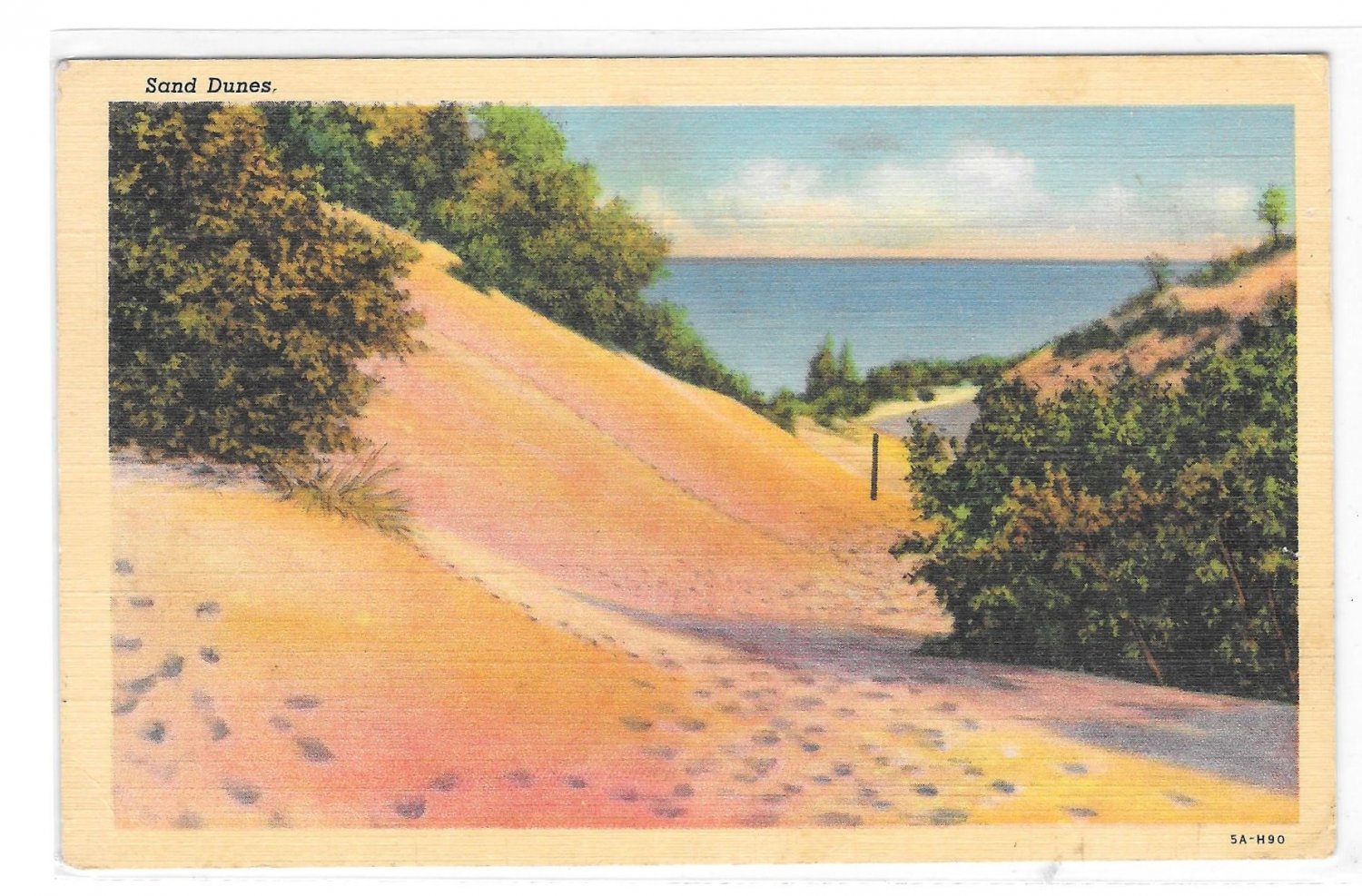 Landscape Sand Dunes Vintage Postcard Curteich