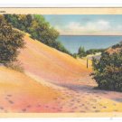 Landscape Sand Dunes Vintage Postcard Curteich Landscape Sand Dunes Vintage Postcard Curteich
