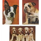 Dogs Cocker Spaniels Bulldog Boston Terrier 3 Mike Roberts Postcards