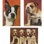 Dogs Cocker Spaniels Bulldog Boston Terrier 3 Mike Roberts Postcards