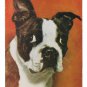 Dogs Cocker Spaniels Bulldog Boston Terrier 3 Mike Roberts Postcards