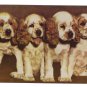 Dogs Cocker Spaniels Bulldog Boston Terrier 3 Mike Roberts Postcards