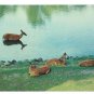 Greetings from Cambridge MN Deer Family Doe Fawns Stag Buck by Lake 2 Postcards