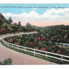 KY Kentucky Road between Brooklyn Bridge Shakertown Vintage Postcard EC Kropp