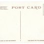 NC Biltmore House Palm Court Biltmore North Carolina Viintage Postcard Photostint