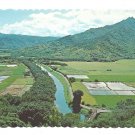 Hawaii Hanalei Valley Taro Fields Island of Kauai Vintage Postcard