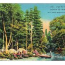 Camping on Banks of Cool Mountain Stream Asheville North Carolina LinenPostcard