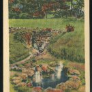 Arkansas Hot Springs National Park AR Miniature Springs 1945 Linen Postcard