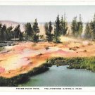 WY Yellowstone National Park Thumb Paint Pots Vtg H H Tammen Wyoming Postcard