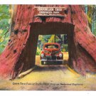 CA Drive thru Chandelier Redwood Tree Underwood Park Vntg Linen Postcard
