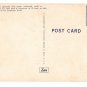 CA Drive thru Chandelier Redwood Tree Underwood Park Vntg Linen Postcard