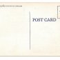 Beautiful Residences Tree Lined Walk US Small Town View Vintage Linen Postcard