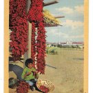 AZ San Xavier Mission Papago Boy Stringing Chili Peppers Vintage Linen Postcard