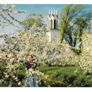 Apple Blossom Flowers Nova Scotia Canada Vintage H S Crocker Postcard Apple Blossom Flowers Nova Scotia Canada Vintage H S Crocker Postcard