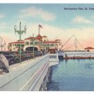 Florida Recreation Pier St. Petersburg FL Pelican Vintage Curteich Linen 1939  Postcard