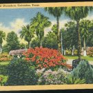 US Palm Trees and Oleanders Galveston Texas  Tichnor 1946 Linen Postcard