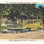 Montreal Canada Sight Seeing Car Around The Mountain Tramway Vintage Postcard