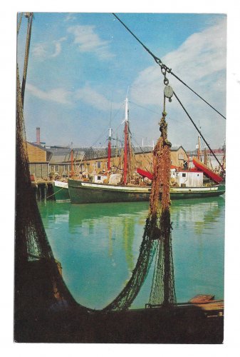 Gloucester Waterfront Cape Ann MA Portugese Seine Fishing Fleet Vintage Mike Roberts  Postcard
